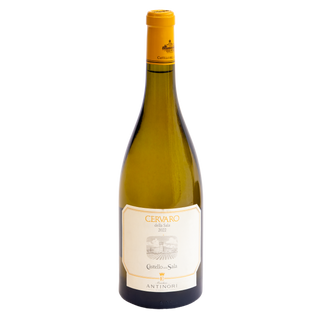A bottle of Cervaro della Sala 2022 white wine by Antinori, featuring a dark green glass bottle, a yellow-orange foil top, and a cream-colored label with gold lettering.