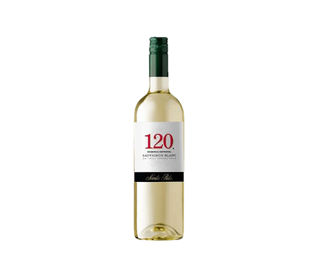 Santa Rita 120 Reserva Especial Sauvignon Blanc 75 Cl